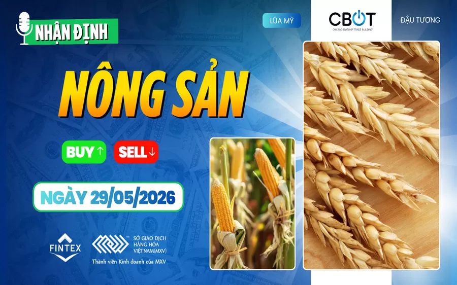NHẬN ĐỊNH THỊ TRƯỜNG NÔNG SẢN NGÀY 29/05/2026